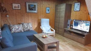 a living room with a blue couch and a tv at Family friendly house with a parking space Zdihovo, Gorski kotar - 20491 in Bosiljevo