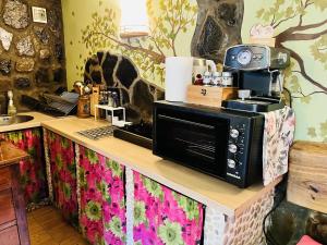 a microwave sitting on a counter in a kitchen at Family friendly house with a parking space Vranov Dol, Prigorje - 20590 in Jastrebarsko