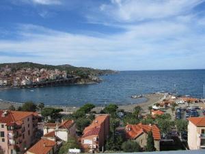 バニュルス・シュル・メールにあるStudio Banyuls-sur-Mer, 1 pièce, 2 personnes - FR-1-309-44の市街と水の景色