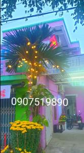 a palm tree in front of a building with lights at Thuy Hang Motel in Long Hai