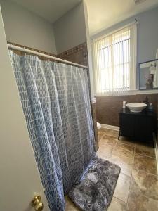 a bathroom with a shower and a sink at Historic Cottage 3 mins to the French Qtr. Sleeps 12 in New Orleans