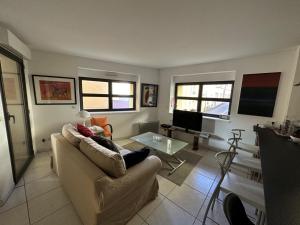 salon z kanapą i telewizorem w obiekcie Appartement T3 avec terrasse, centre Port-Vendres, calme et proche des quais, 6 personnes - FR-1-309-365 w mieście Port-Vendres +9 zdjęć