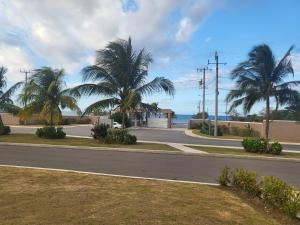 an empty street with palm trees on the side of a road at Summer Breeze Villa in Lucea