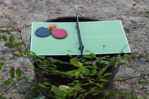 a laptop with two felt birds on top of it at Adrenaline Check Kaki Event Place in Portorož