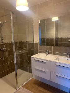 a bathroom with a shower and a sink and a mirror at Appartement Le 17 in Narbonne
