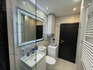 La salle de bains est pourvue de toilettes, d'un lavabo et d'un miroir. dans l'établissement Alisa Novi Beograd, à Bežanija