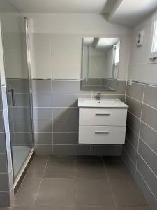 a bathroom with a sink and a shower at Studio calme et indépendant proche Tours in Fondettes +12 photos