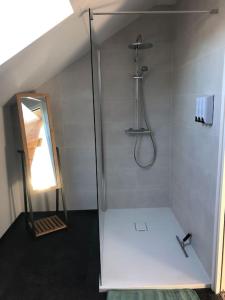 uma casa de banho com um chuveiro e um espelho. em La maison d’à côté em Troyes