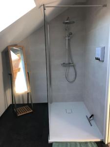 W łazience znajduje się prysznic i lustro. w obiekcie La maison d’à côté w Troyes
