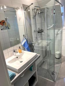 a bathroom with a sink and a glass shower at Ferien-Whg Möwe nähe Steinhuder Meer in Hagenburg