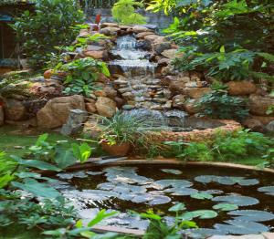 Billede fra billedgalleriet på Farmdean Resort i Kanyakumari