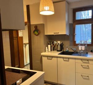 uma cozinha com armários brancos, um lavatório e uma janela em Maison Dietenbeck em Wissembourg