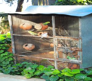 Billede fra billedgalleriet på Farmdean Resort i Kanyakumari + 44 billeder