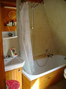 W łazience znajduje się prysznic, wanna i umywalka. w obiekcie Baita Giggia sulle piste - Cavalese in Trentino Alto Adige cottage chalet w Calavese