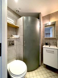 een badkamer met een douche, een toilet en een wastafel bij Kirsebærkroen - The Inn Between in Præstø