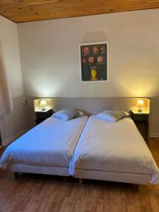 two beds in a bedroom with two lamps on tables at Hôtel l'Annexe in Moux-en-Morvan