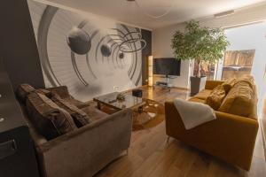 sala de estar con 2 sofás y TV en Le gîte de Sabina - Colmar, en Colmar