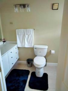 uma casa de banho com um WC branco e um tapete azul em Comfy Seascape Retreat near Kingston Airport em Kingston