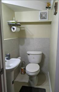 a small bathroom with a toilet and a sink at Comfy Seascape Retreat near Kingston Airport in Kingston