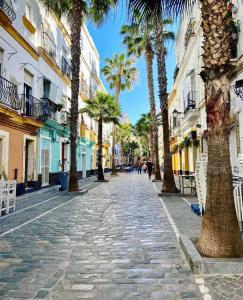 uma rua de calçada com palmeiras e edifícios em Camerino del Falla Grupo AC Gestion em Cádiz