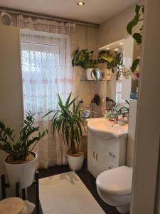 a bathroom with a toilet and two potted plants at Cozy room with a beautiful garden view in Baunatal