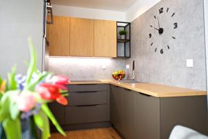 Kuchyňa alebo kuchynka v ubytovaní CITY PRESTIGE apartment Trencin