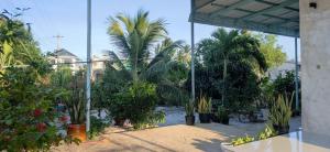 een groep palmbomen en planten op een binnenplaats bij Ngôi nhà nhỏ Lagi Homestay in La Gi