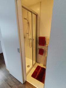 ゼルデンにあるFerienwohnung Scheiberのバスルーム(シャワー、赤いタオル付)