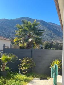 a fence with palm trees in front of a mountain at Maison T1 bis Corse in Lucciana