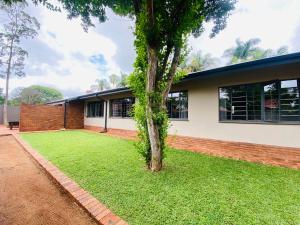 un árbol en el patio de una casa en Oost Street, en Polokwane