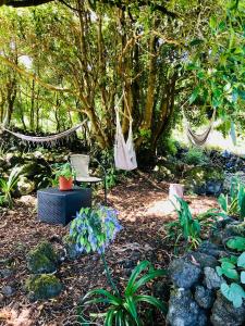 a garden with a hammock and some plants and trees at Quinta Pereirinha Farm, Pico Island, Azores - A Private 3 Bedroom Oasis on a Working Farm with Ocean View, Close to Swimming & Hiking Trails in São Roque do Pico