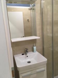 a bathroom with a sink and a shower with a mirror at Studio Apartment Sisi in Opatija +6 photos