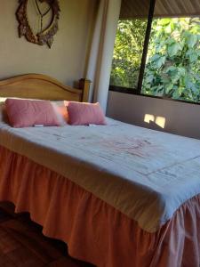 TamborにあるCabaña en Alajuela en lugar tranquilo y con mucha naturaleza.の窓付きのベッドルームにピンクの枕が備わるベッド1台