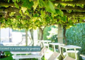 Vrt pred nastanitvijo Ascona Lodge, Pool & Garden Retreat