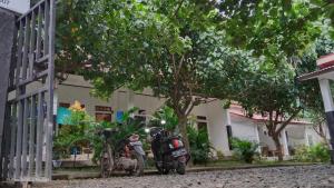 two motorcycles parked in front of a building at Nanda Homestay in Kuta Lombok