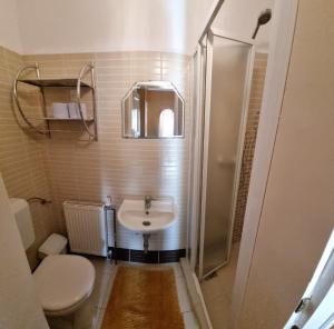 a bathroom with a sink and a toilet and a shower at Balaton House in Balatonboglár +15 photos