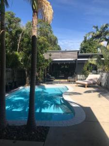 a swimming pool with a palm tree in a yard at LA Inspired, Gorgeous Spacious Family Home, Superb Location in Noosa Heads