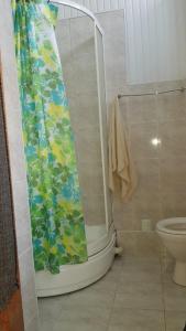 Un baño con cortina de ducha y un inodoro. en Beautiful 2-room apartment hosted by a Georgian Artist, en Tiflis