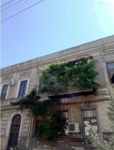 Un edificio con plantas a los lados. en Beautiful 2-room apartment hosted by a Georgian Artist, en Tiflis