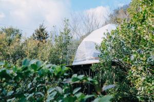 DENIM HOSTEL float外面的花园