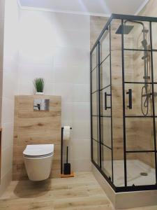 a bathroom with a toilet and a glass shower at Apartament DanHouse in Giżycko
