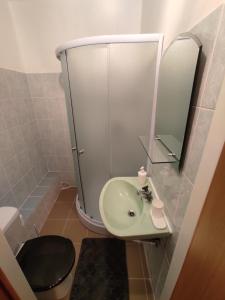 ein Badezimmer mit einem Waschbecken, einem Spiegel und einem WC in der Unterkunft Birzītes 5 in Valmiera