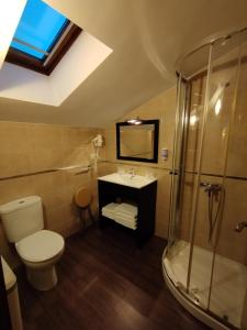 Un baño con inodoro, lavabo y ducha. en Hotel Rural Corazón de las Arribes, en Aldeadávila de la Ribera 37 fotos más