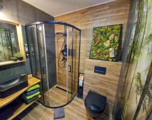 a bathroom with a shower and a sink at Eleonor Accommodation exclusive house in Liszki +18 photos