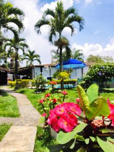 um jardim com flores vermelhas e palmeiras e um passeio em Melao Hostel Campestre y Vivero em Palmira