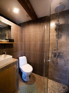 een badkamer met een toilet en een douche bij WILLOW in Pāvilosta