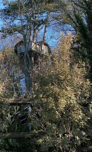 a tree with a house in the top of it at SHERWOOD TREE in Étretat