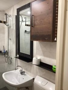 ein Badezimmer mit einem Waschbecken, einem WC und einem Spiegel in der Unterkunft Casa della nonna bungalow 2 in Simpelveld