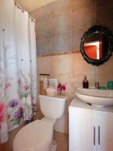 a bathroom with a toilet and a sink and a mirror at Refugio y tinajas Vientos del lago in Los Riscos