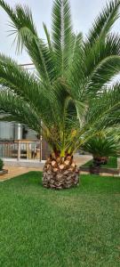 Foto dalla galleria di Villa Avdira a Paralía Avdhíron